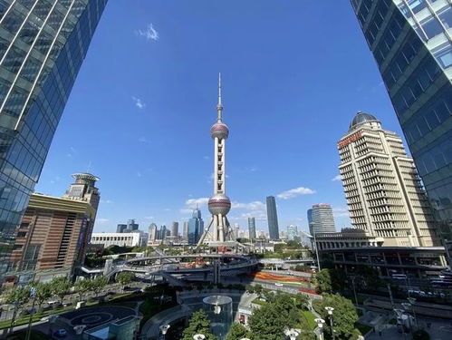 上海總部經(jīng)濟又添 新鮮血液