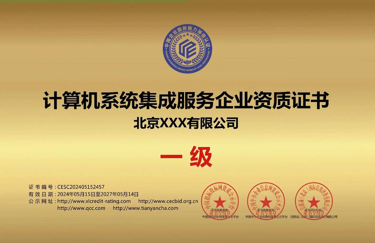 計算機系統集成服務一級證書 行業標準與專業價值